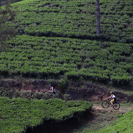 Heritance Tea Factory Nuwara Eliya Kültér fotó