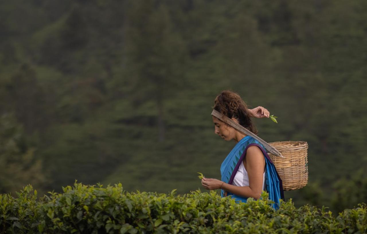 Heritance Tea Factory Nuwara Eliya Kültér fotó